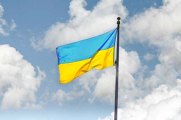 Job Shadowing Placements for Highly Qualified Ukrainian Specialists